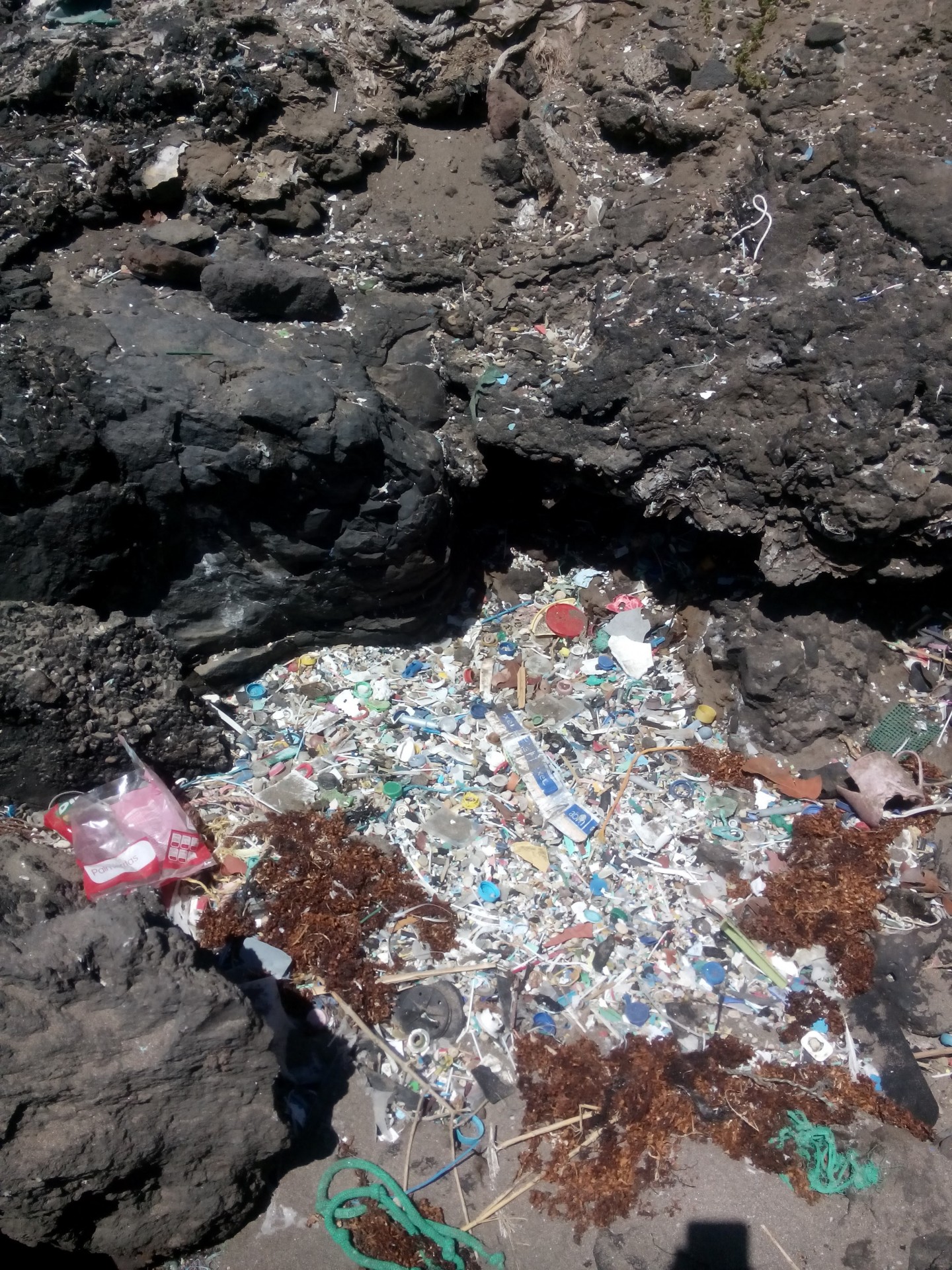 La ULPGC participa en un estudio científico que revela contaminación por plásticos en 8 playas de Tenerife