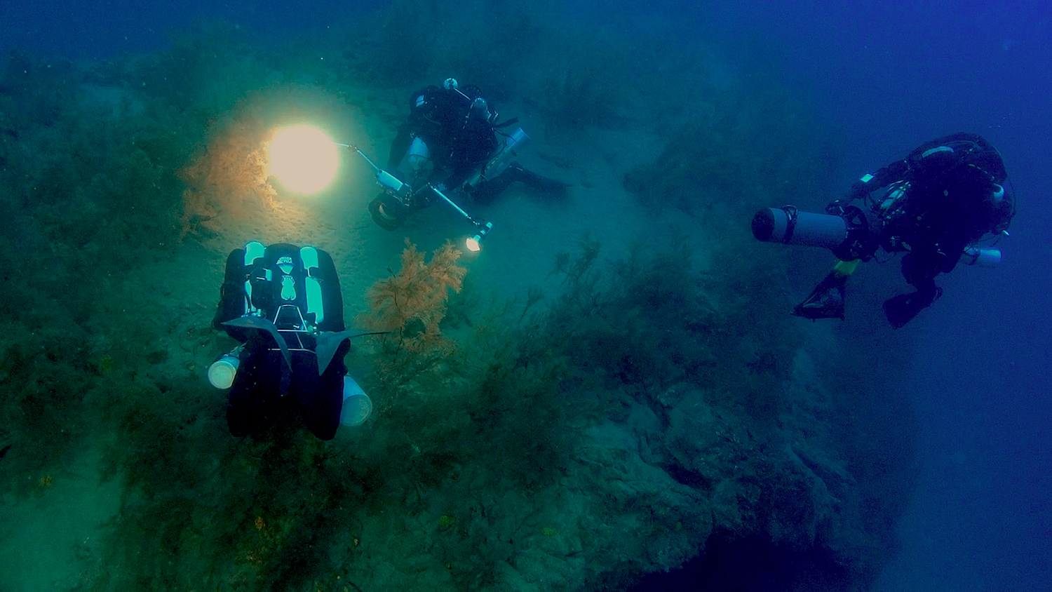  El cámara de Cousteau, Roberto Rinaldi, llevará a la RAI-1 italiana el bosque de coral negro submarino de Lanzarote